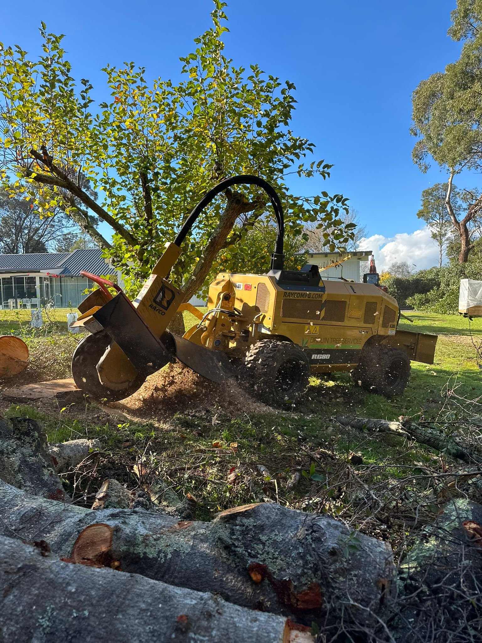 stump removal brentwood tn